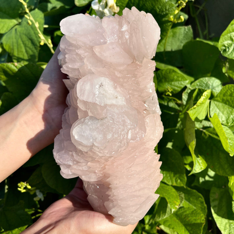 3670g+ Pink Calcite Specimen