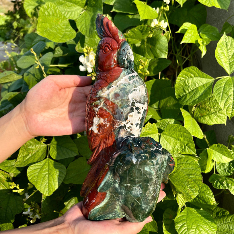 11‘’+ Ocean Jasper Parrot