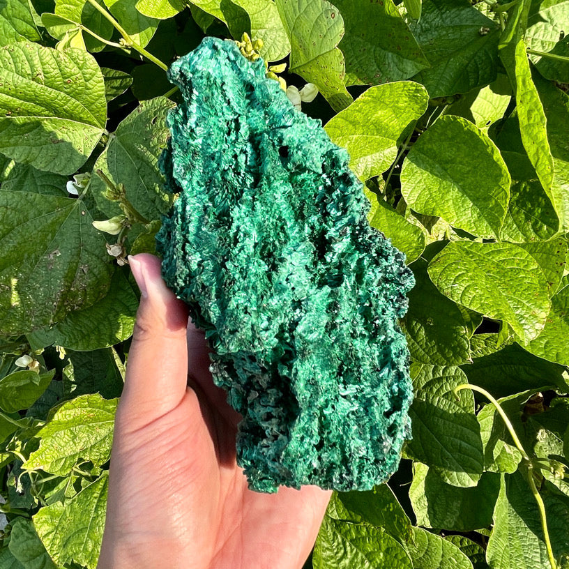 692g Malachite Specimen