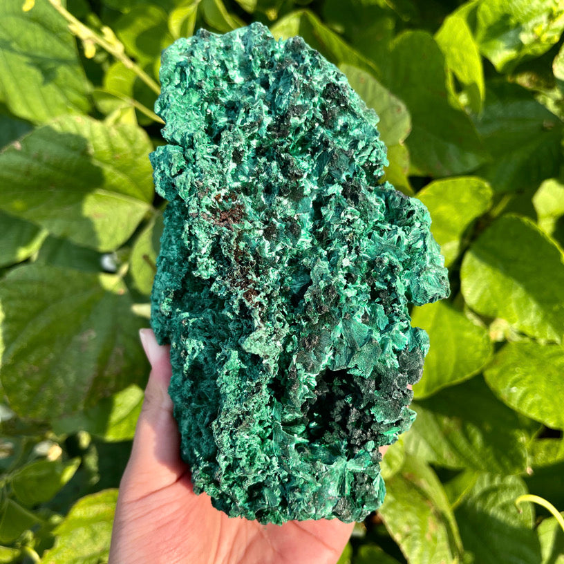 692g Malachite Specimen