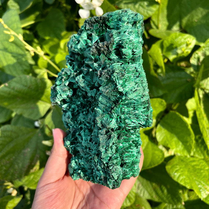 692g Malachite Specimen