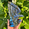 6.1"+ Labradorite Eagle