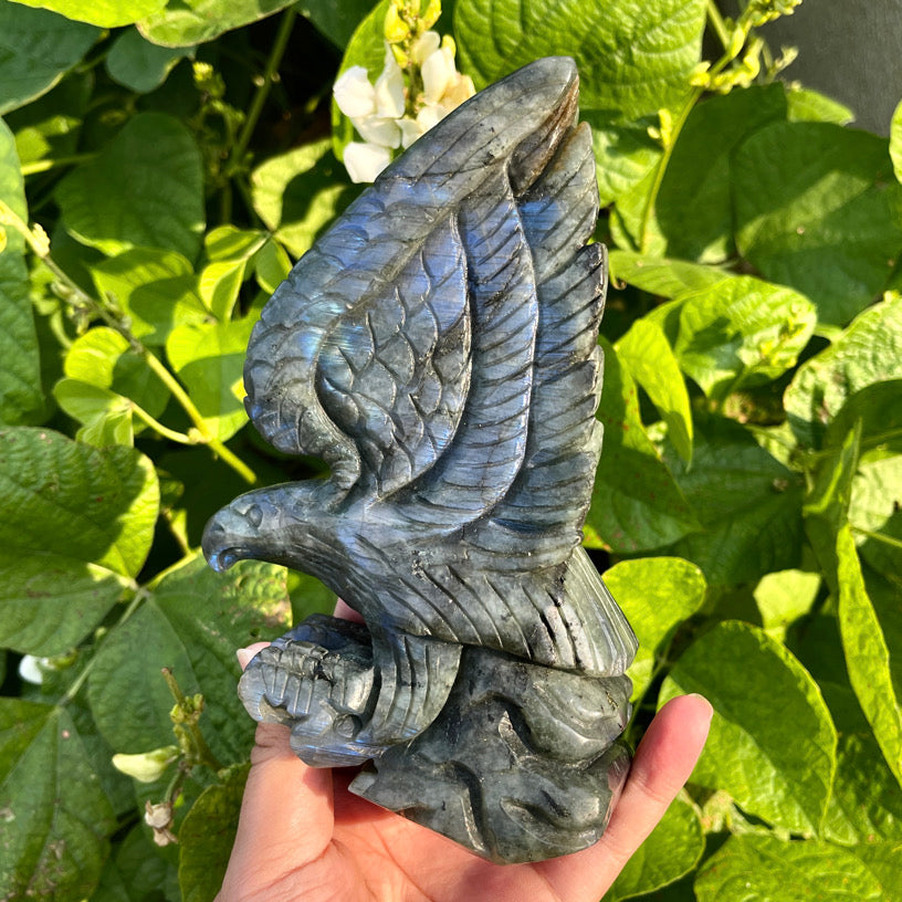 6.1"+ Labradorite Eagle