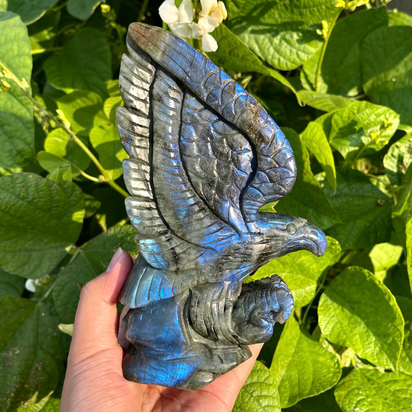 6.1"+ Labradorite Eagle