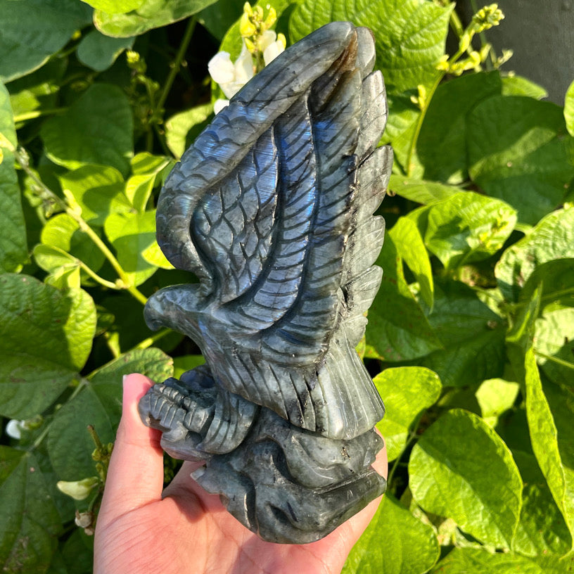 6.1"+ Labradorite Eagle