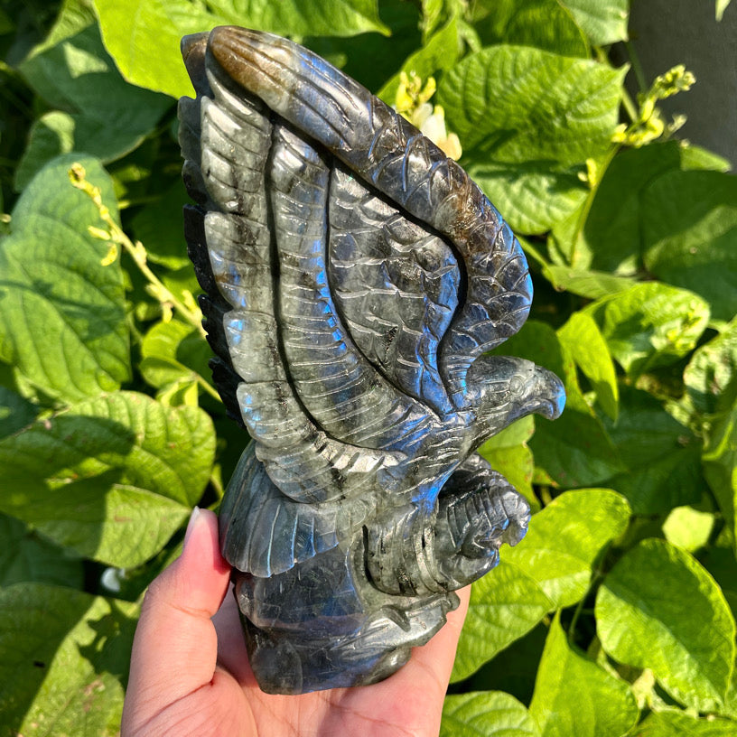 6.1"+ Labradorite Eagle