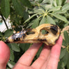 Picture Jasper Bird Skull