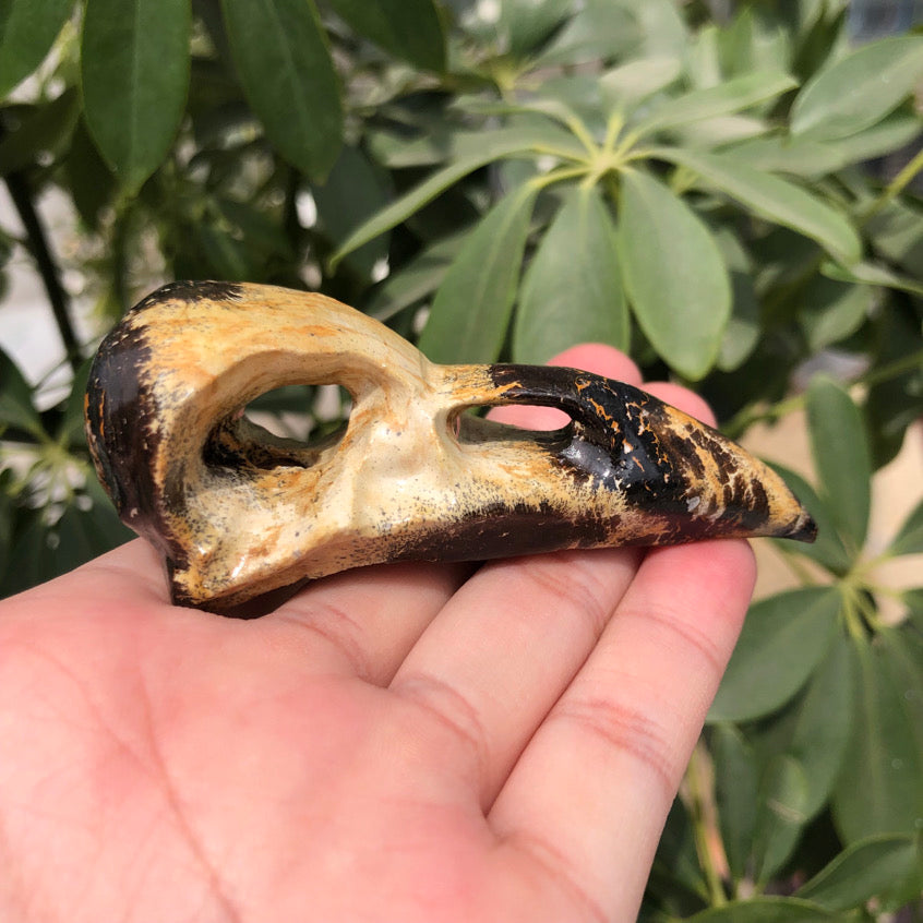 Picture Jasper Bird Skull