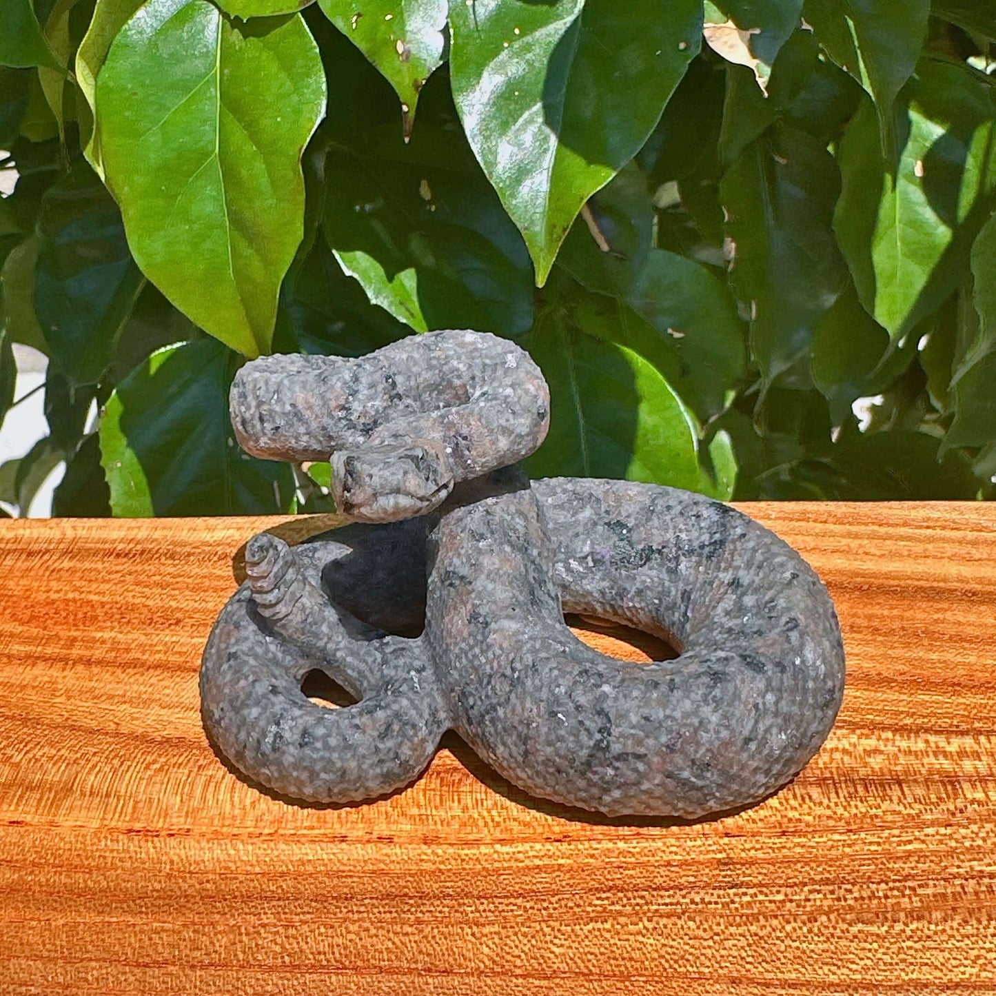 Multi-Material Snake Carving