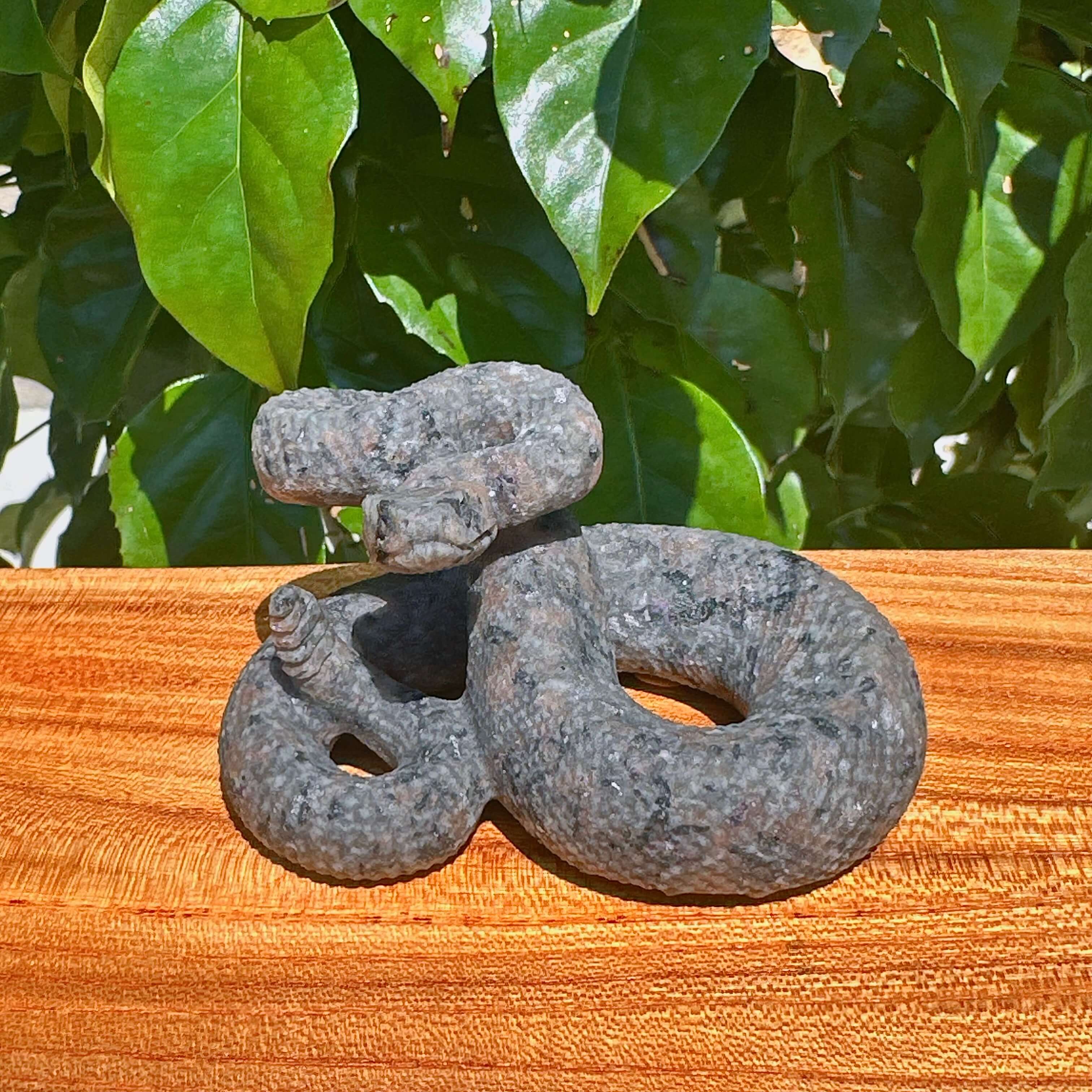 Multi-Material Snake Carving