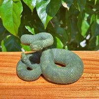 Multi-Material Snake Carving