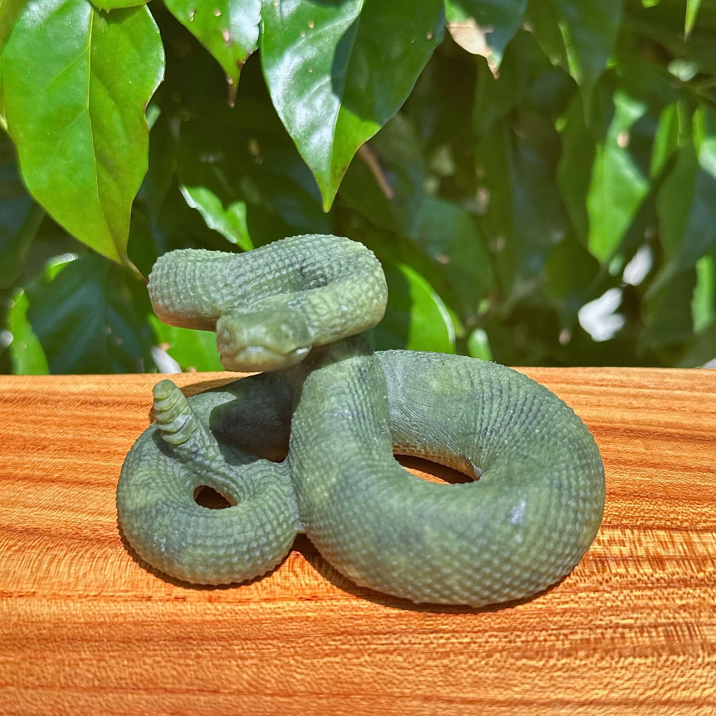 Multi-Material Snake Carving
