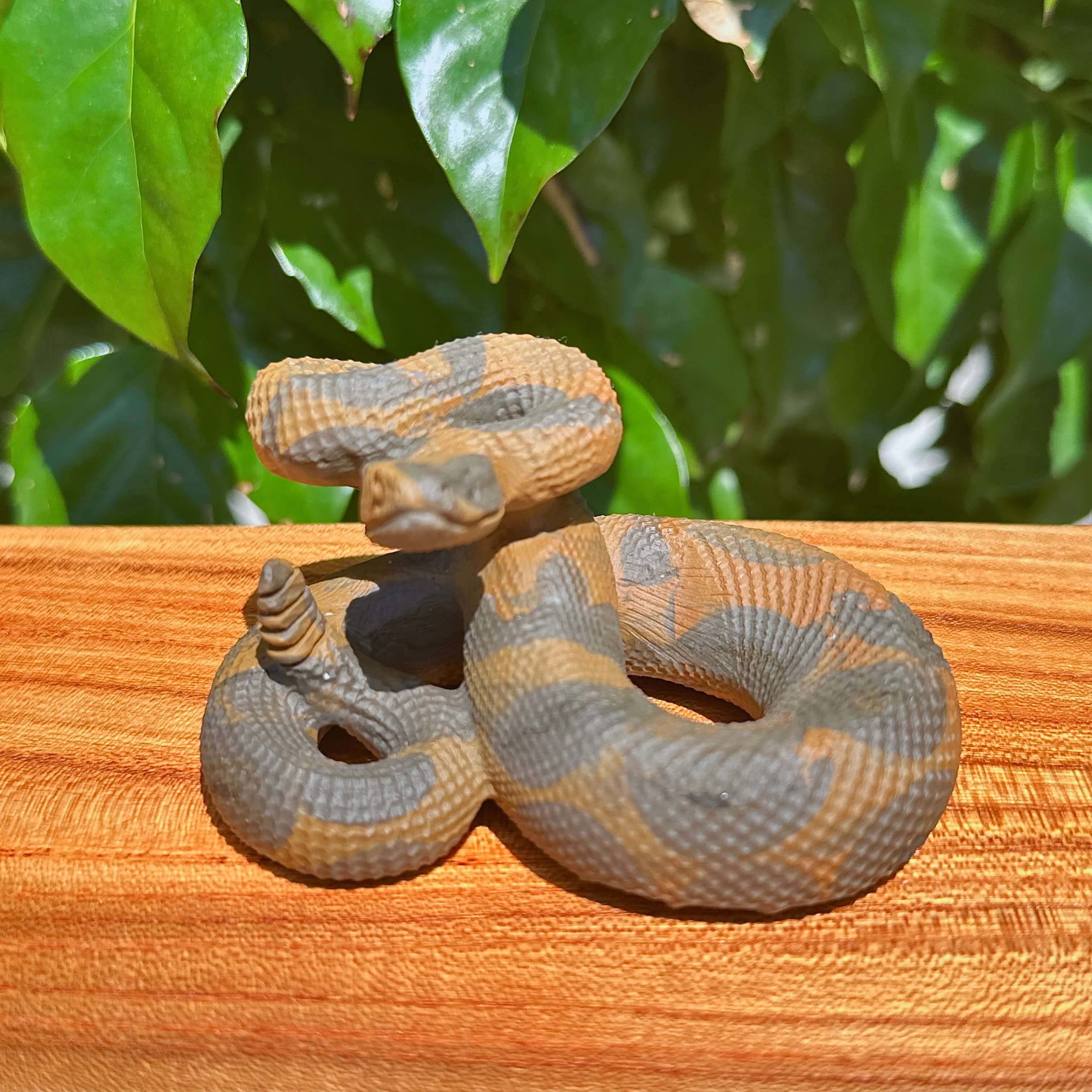 Multi-Material Snake Carving