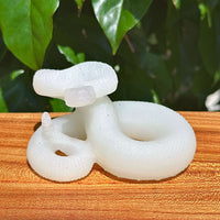 Multi-Material Snake Carving