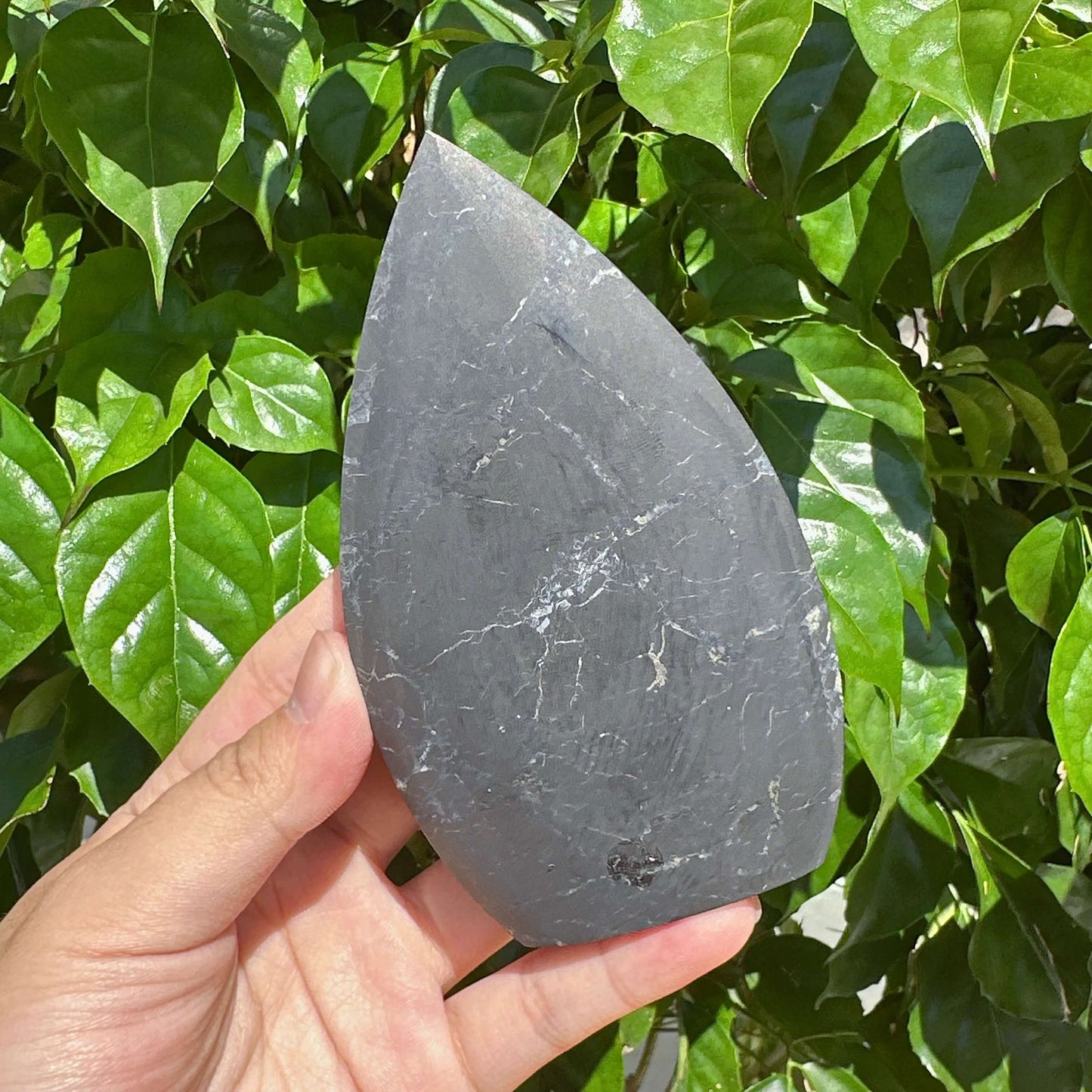 Shungite Teardrop Ornament
