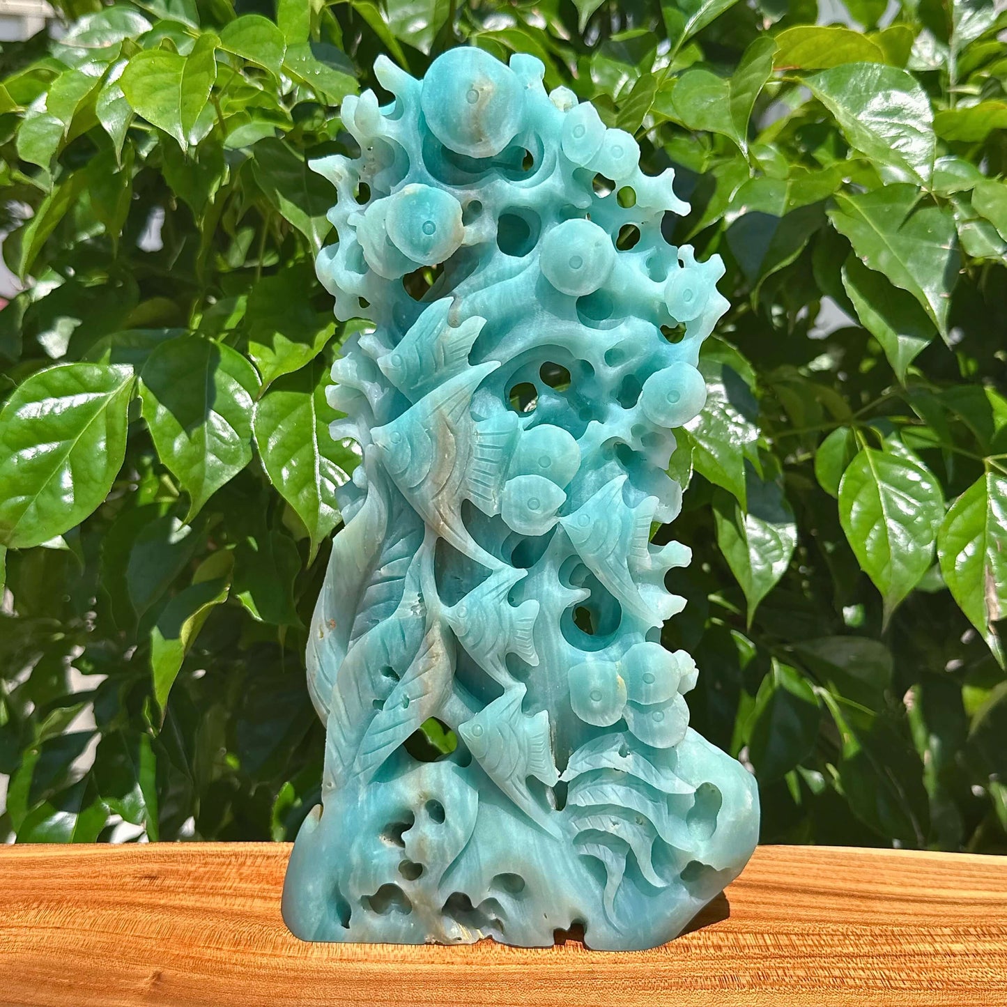 Amazonite Underwater World Carving