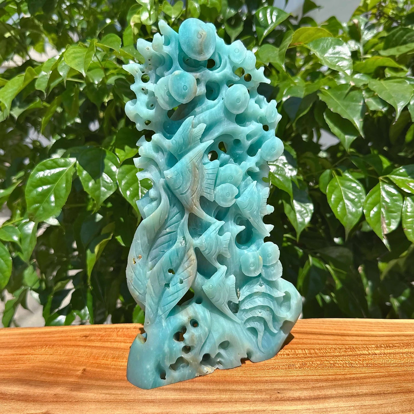 Amazonite Underwater World Carving