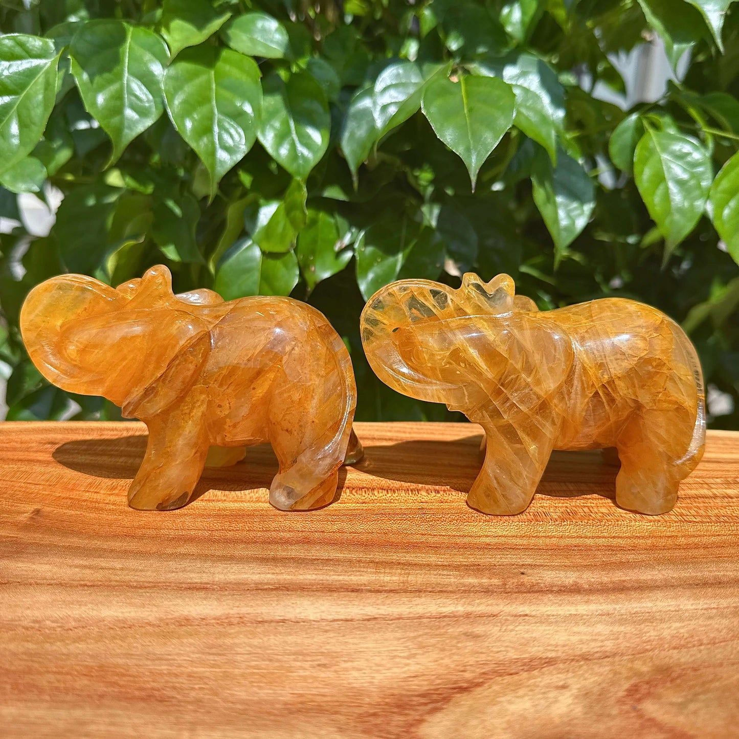 Golden Healer Elephant Carving