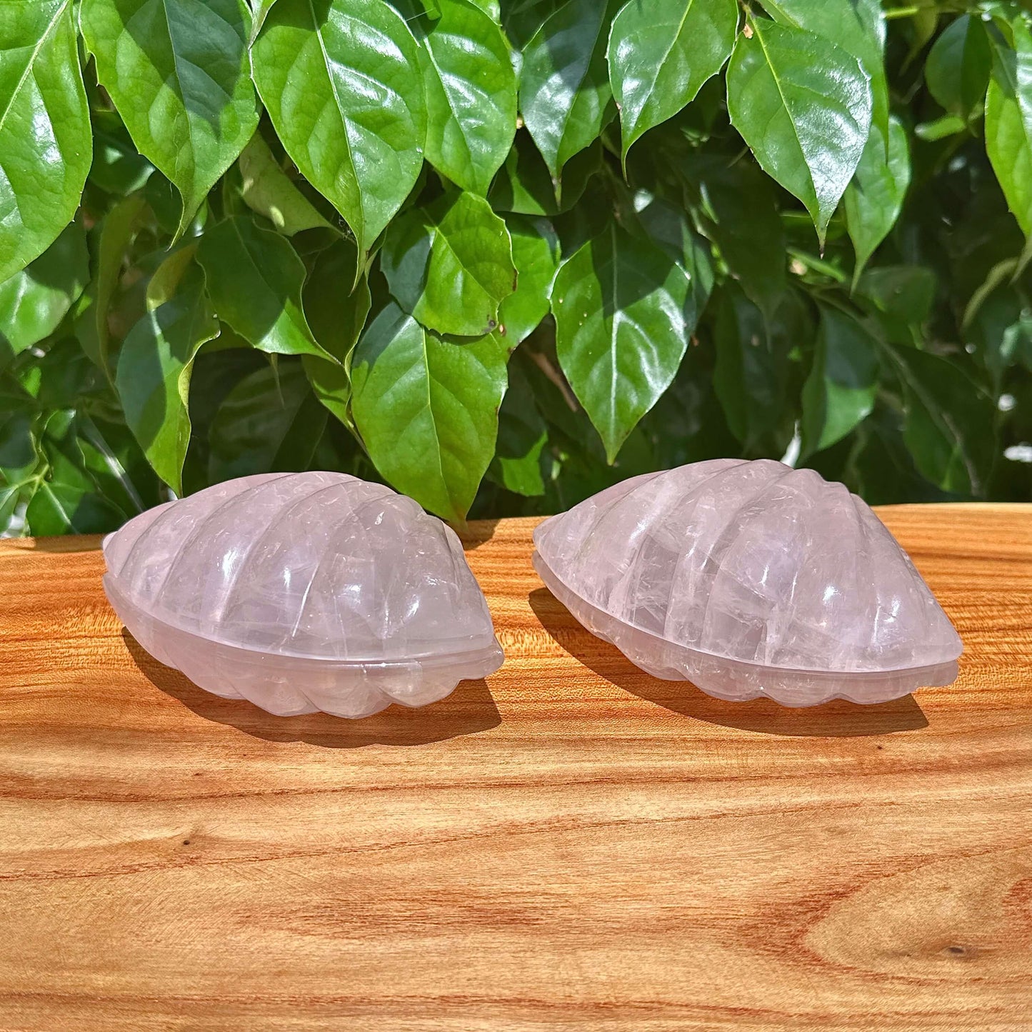 Rose Quartz Shell Carving