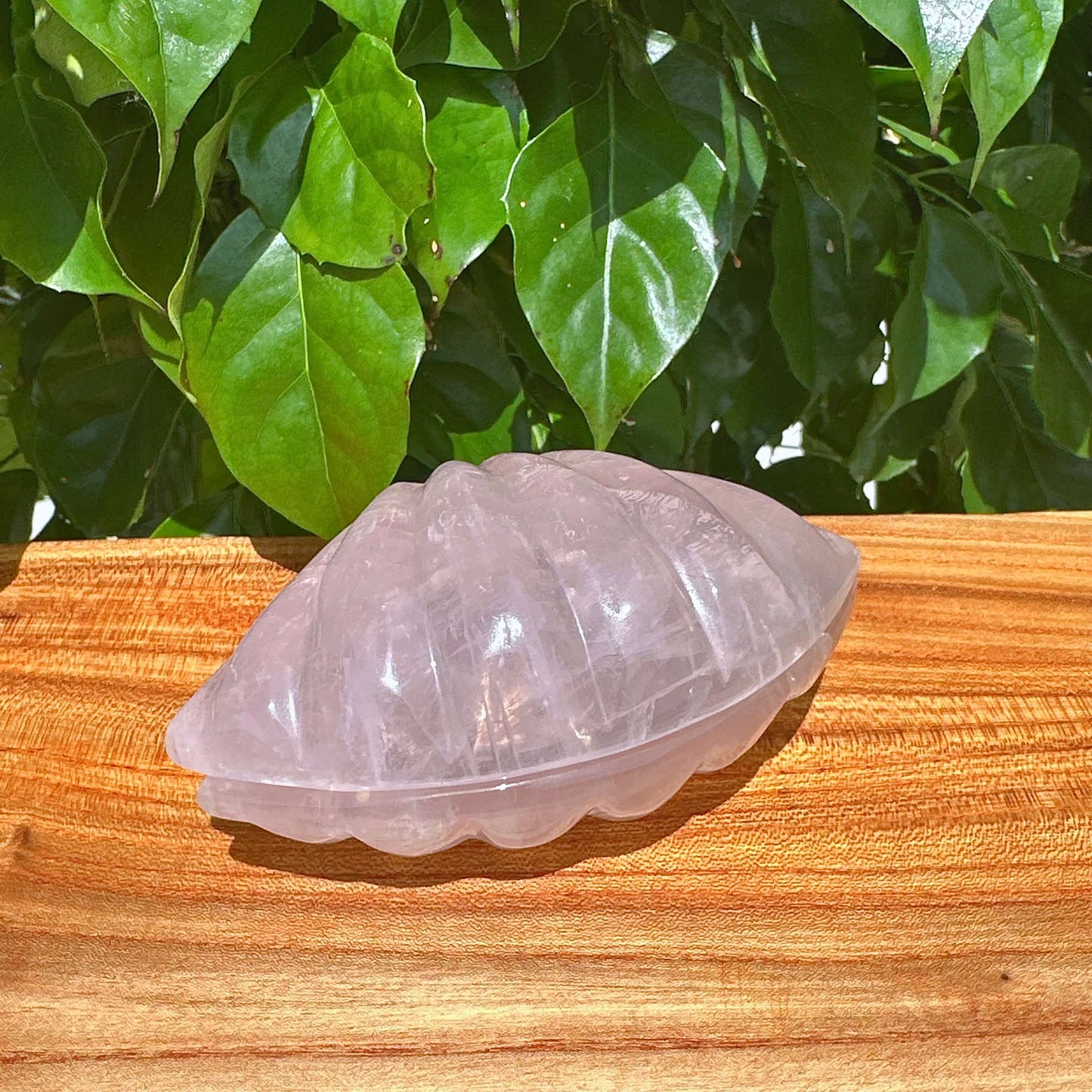 Rose Quartz Shell Carving