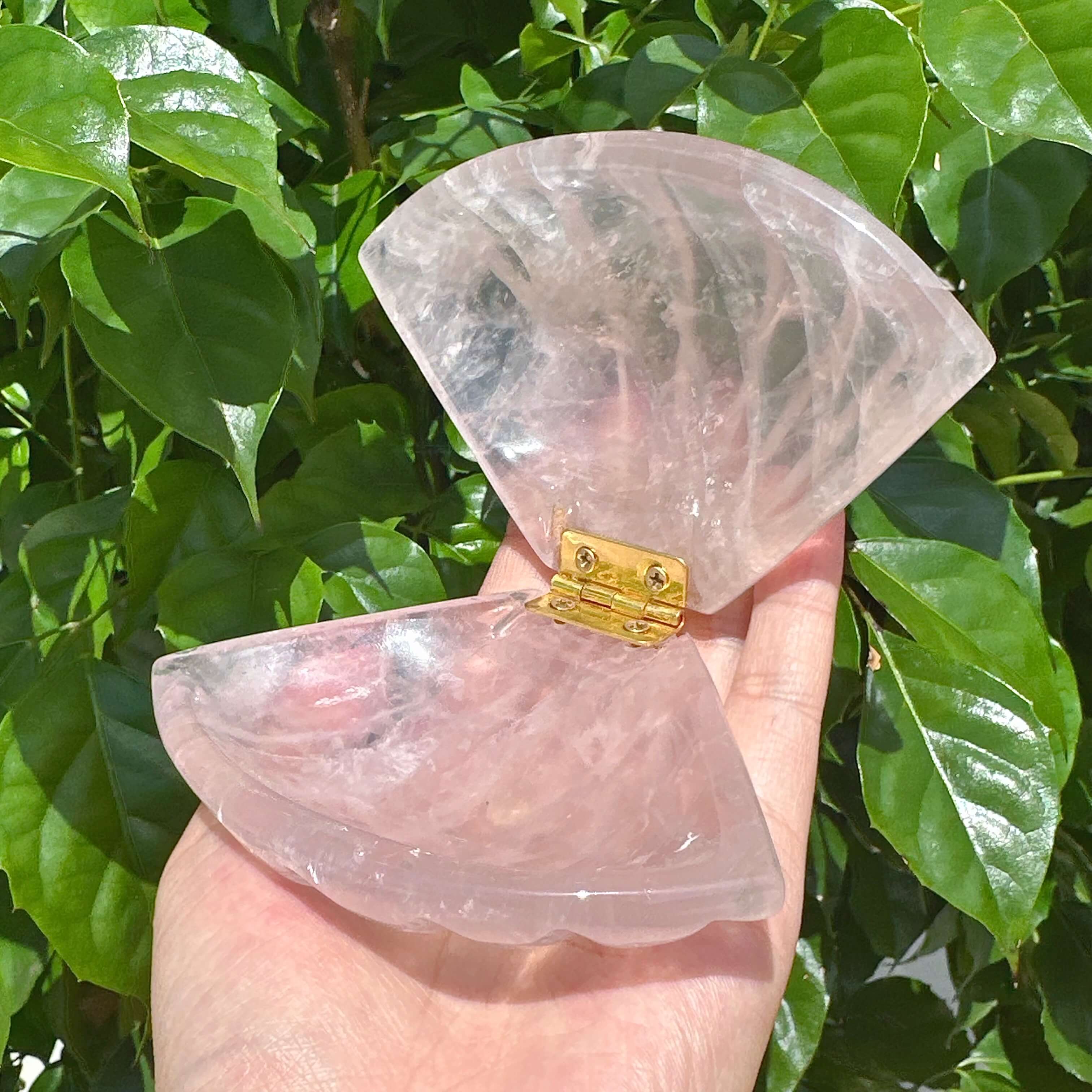 Rose Quartz Shell Carving