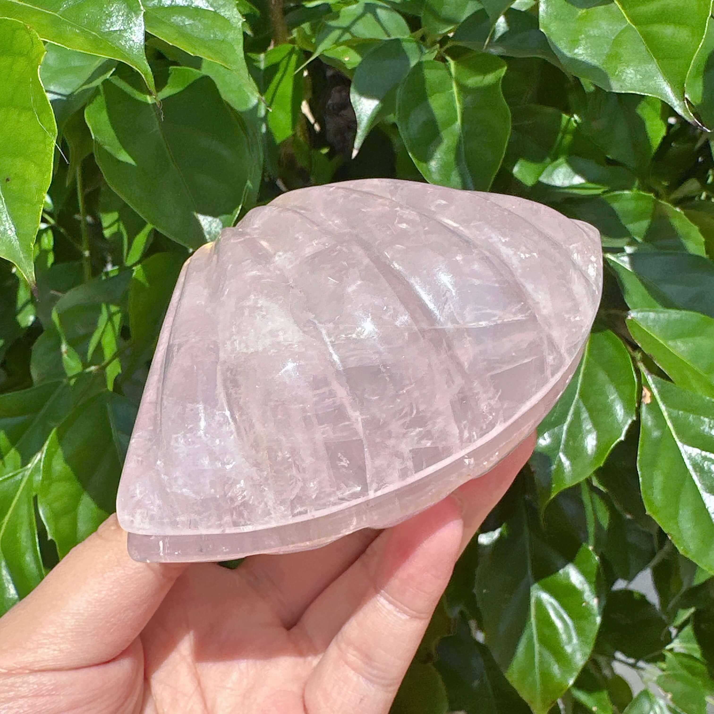 Rose Quartz Shell Carving