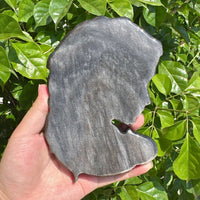 Silver Obsidian Medusa Carving