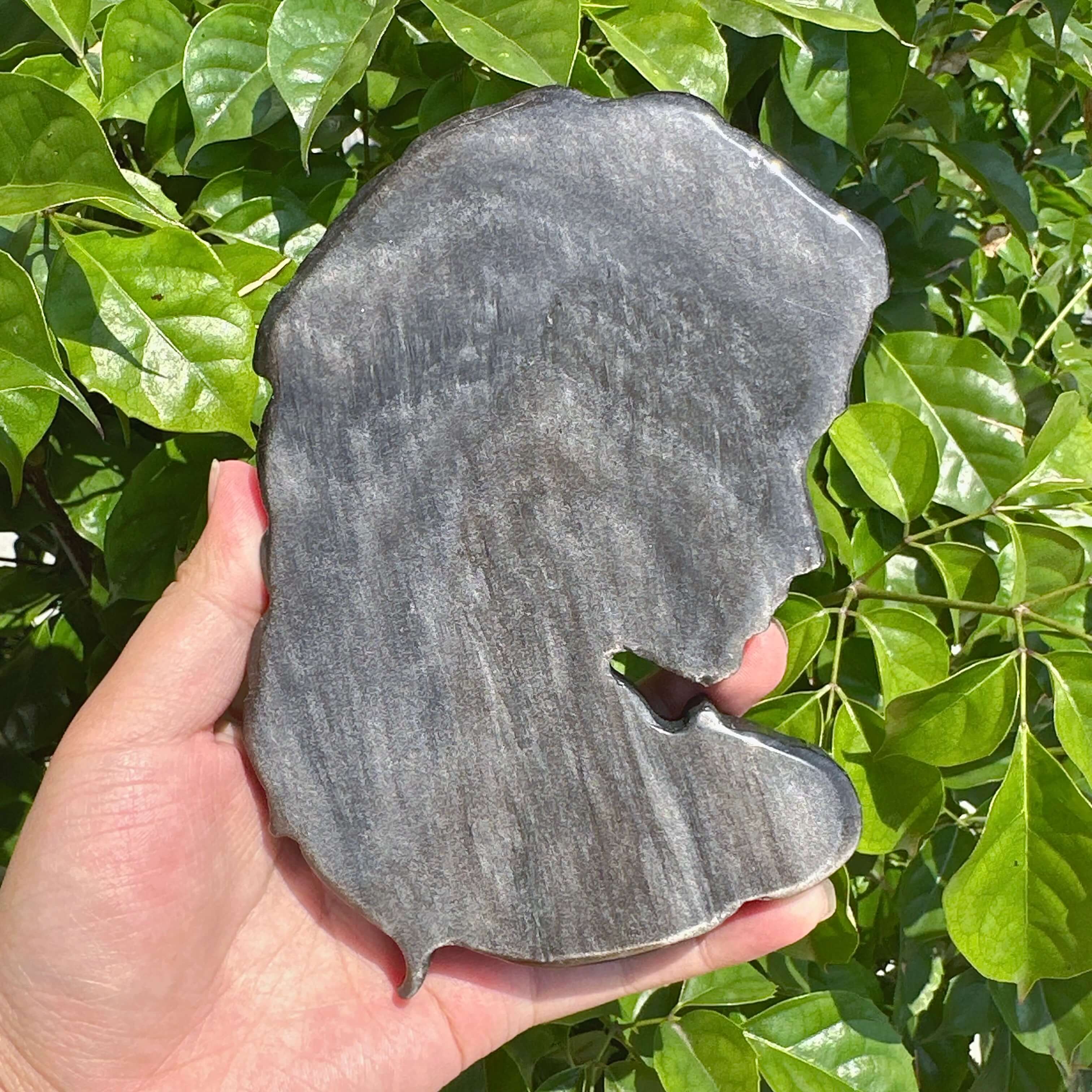 Silver Obsidian Medusa Carving