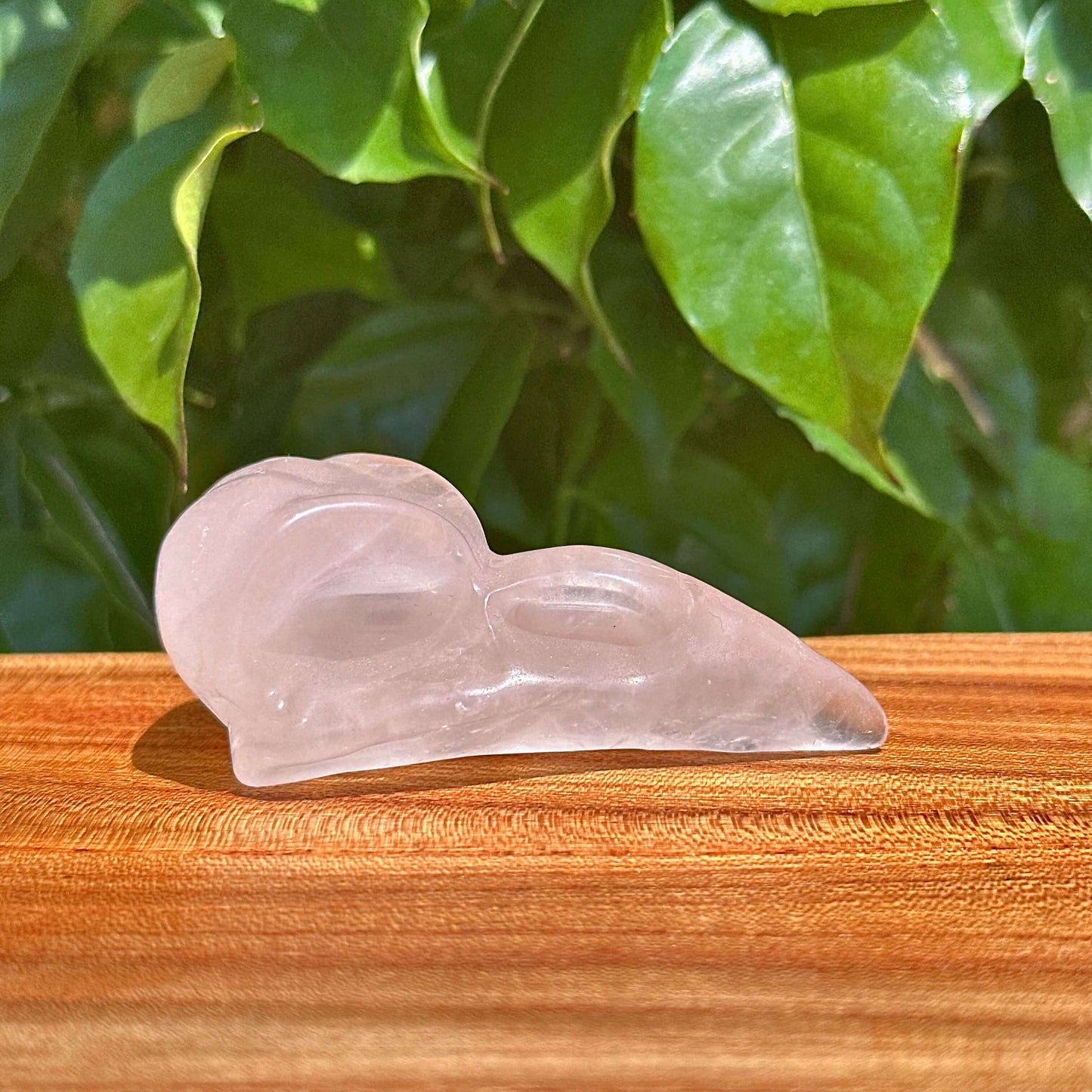 Crystal Crow Skull Carving