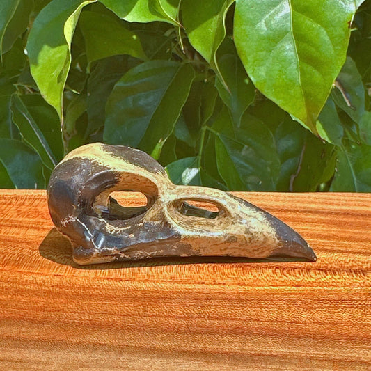 Crystal Crow Skull Carving