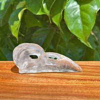 Crystal Crow Skull Carving