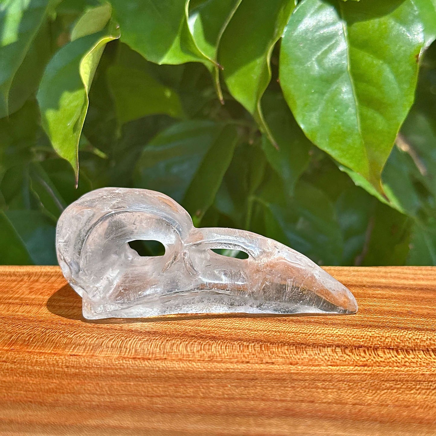 Crystal Crow Skull Carving