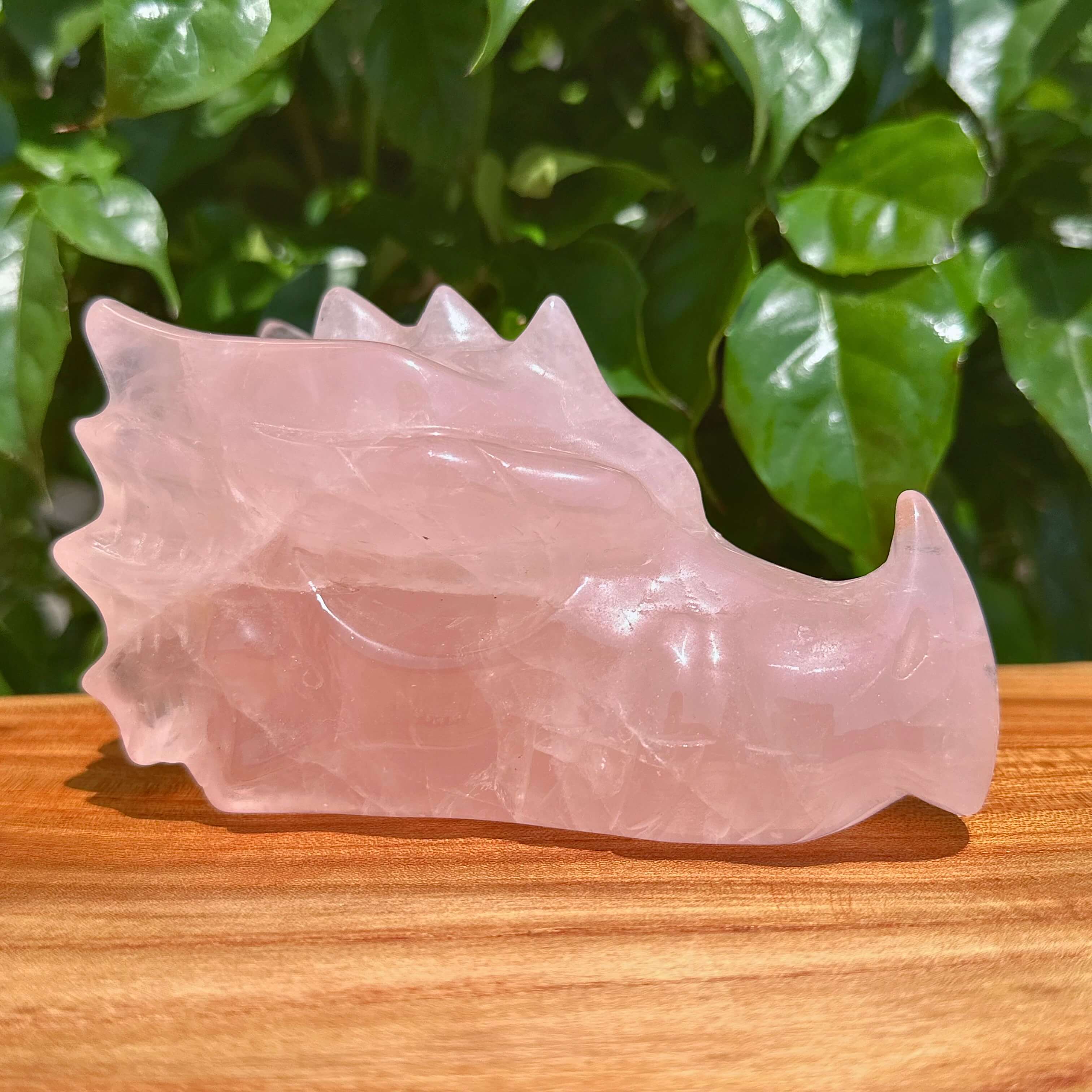Rose Quartz Dragon Head Carving