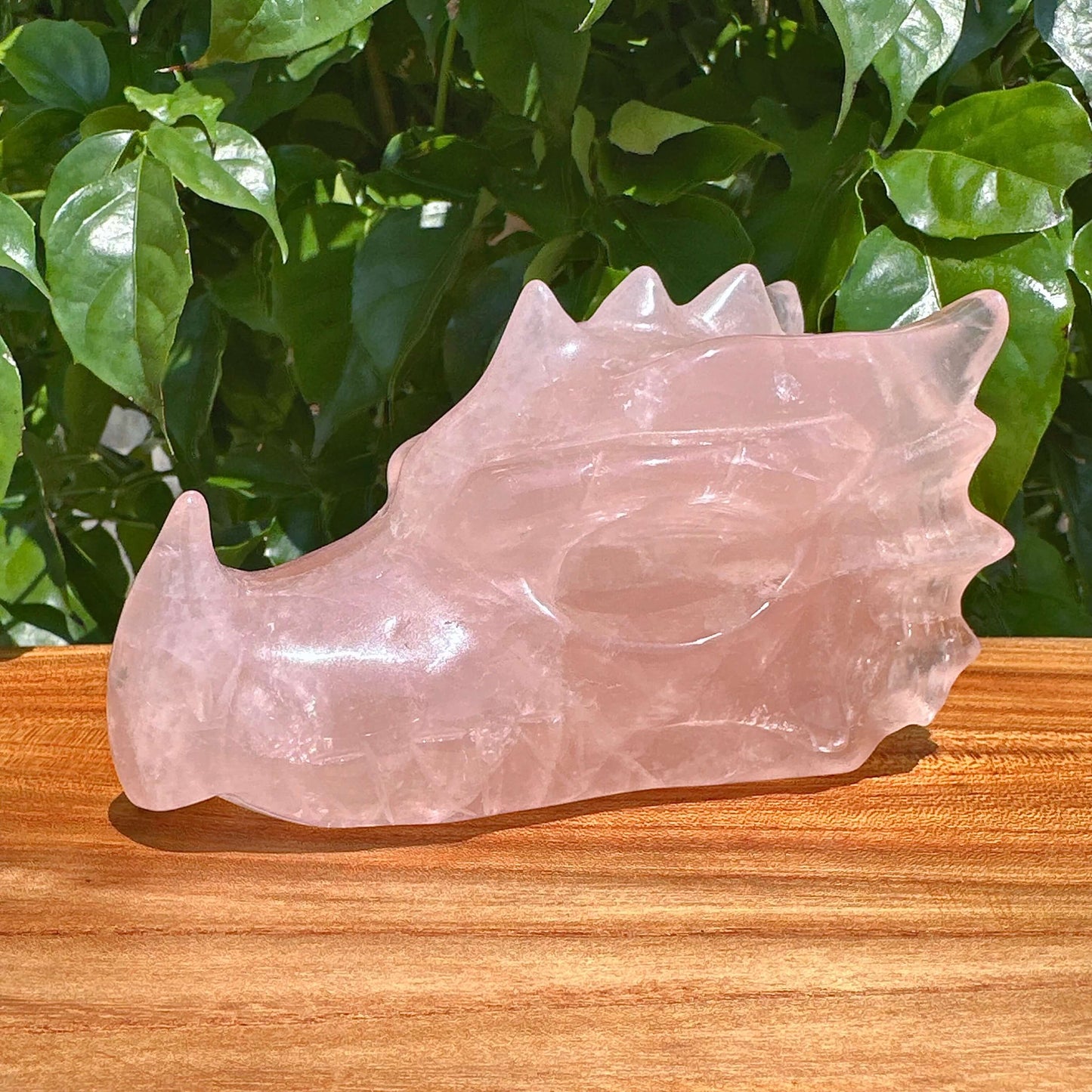 Rose Quartz Dragon Head Carving