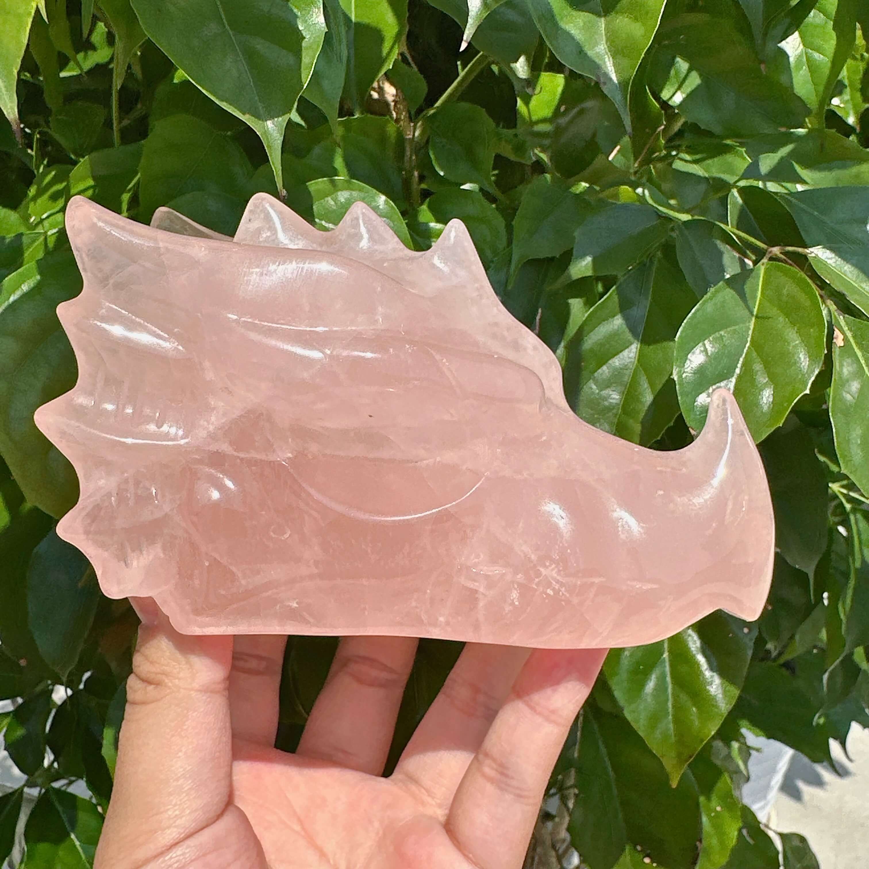 Rose Quartz Dragon Head Carving
