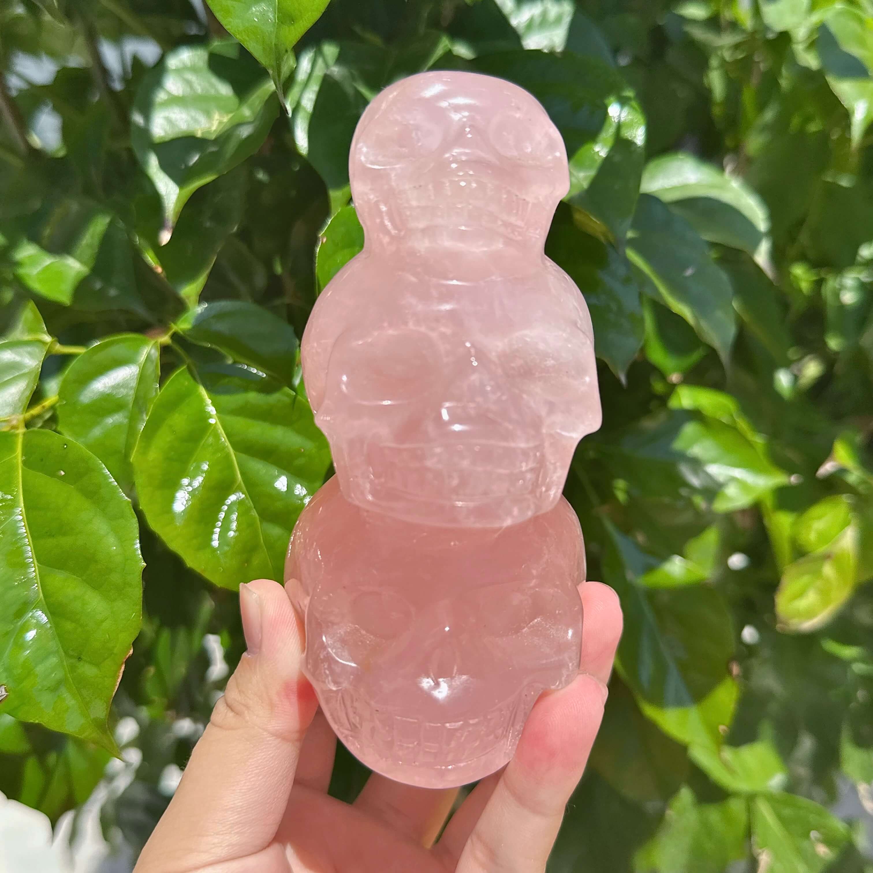 Rose Quartz Triplets Skull Carving