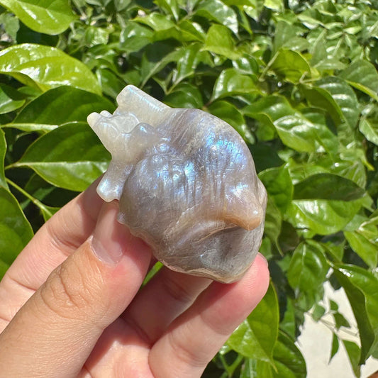 Sunstone-Moonstone Heart Carving
