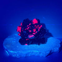 Ruby-Zoisite Peony Flower Carving