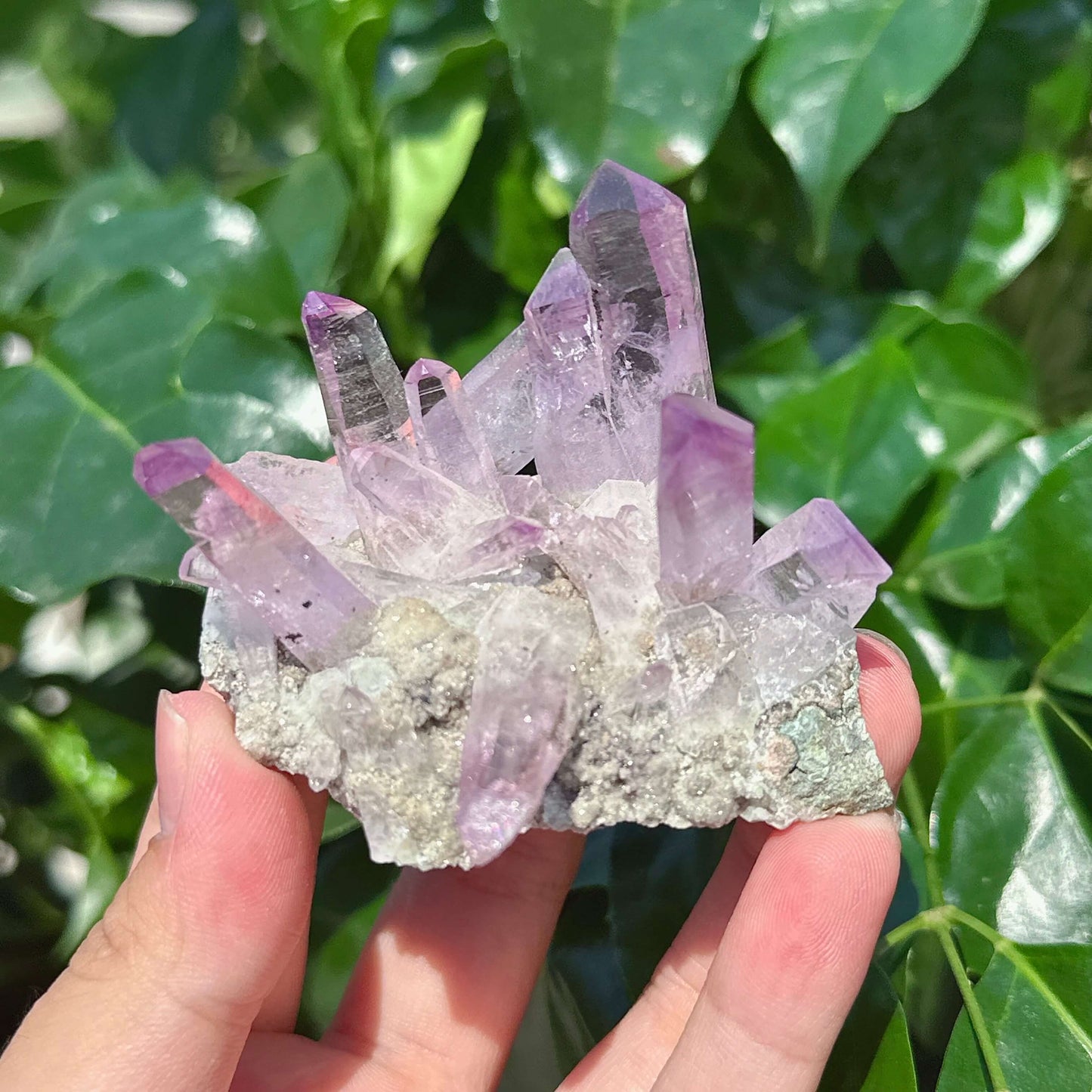 Cruze Amethyst Specimen