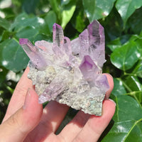 Cruze Amethyst Specimen