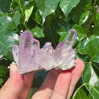 Cruze Amethyst Specimen