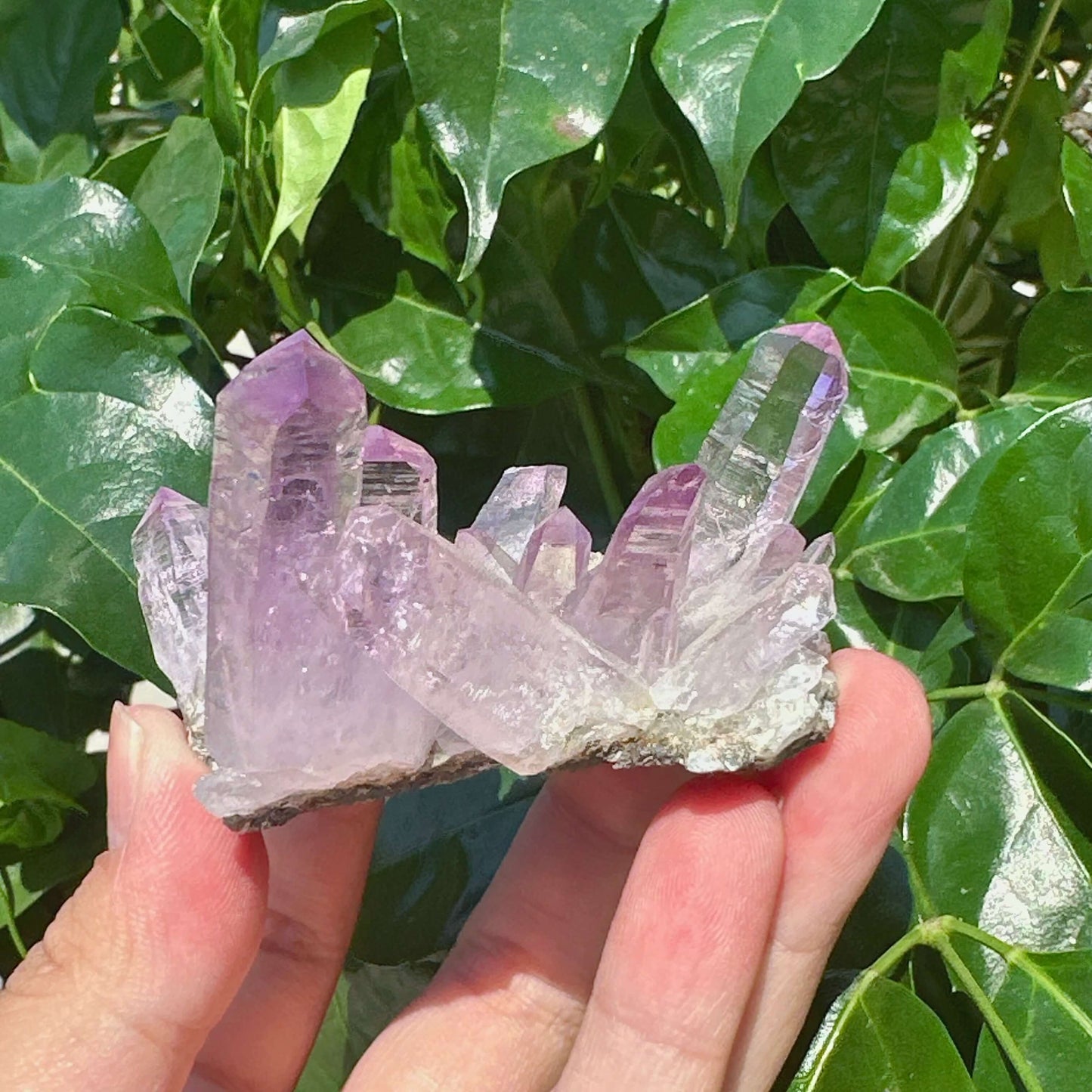 Cruze Amethyst Specimen