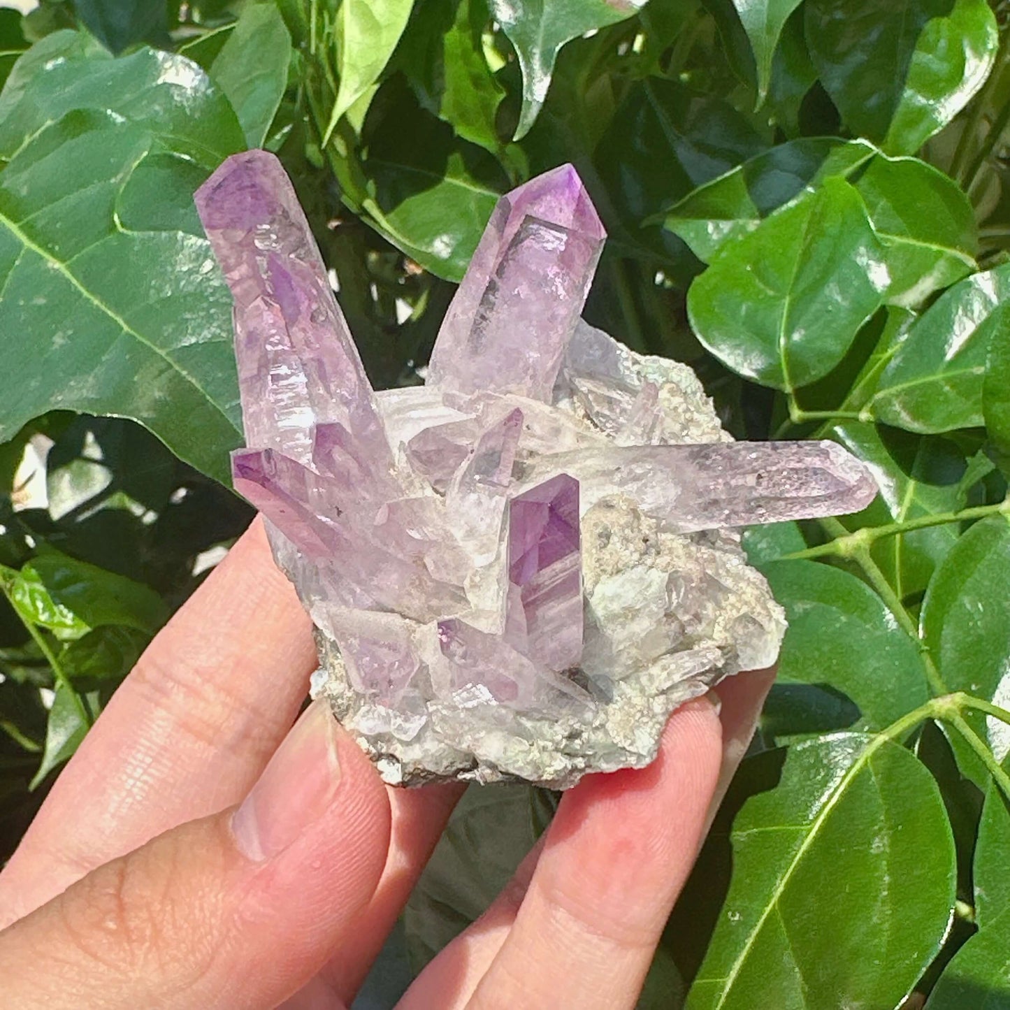 Cruze Amethyst Specimen
