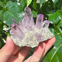 Cruze Amethyst Specimen