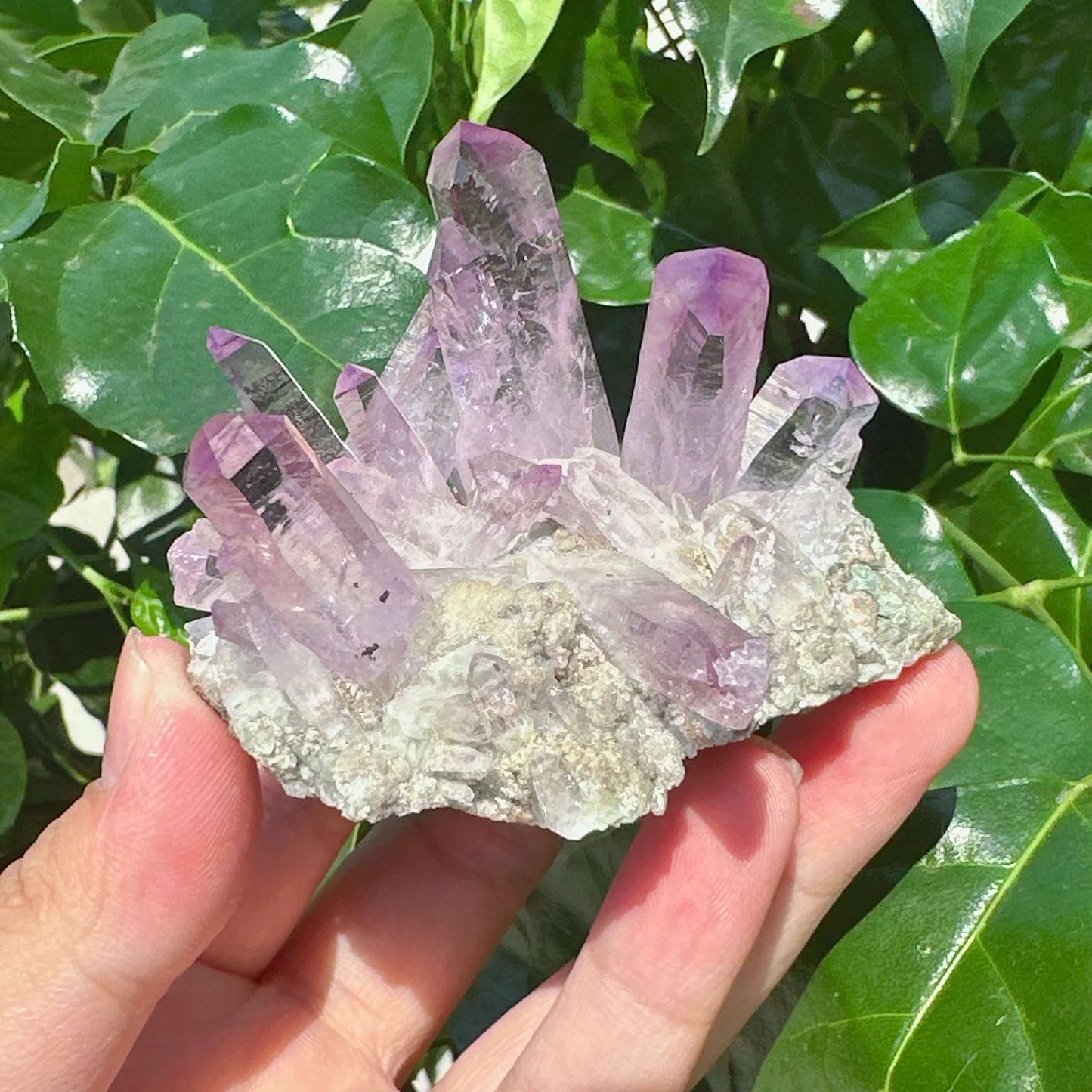 Cruze Amethyst Specimen