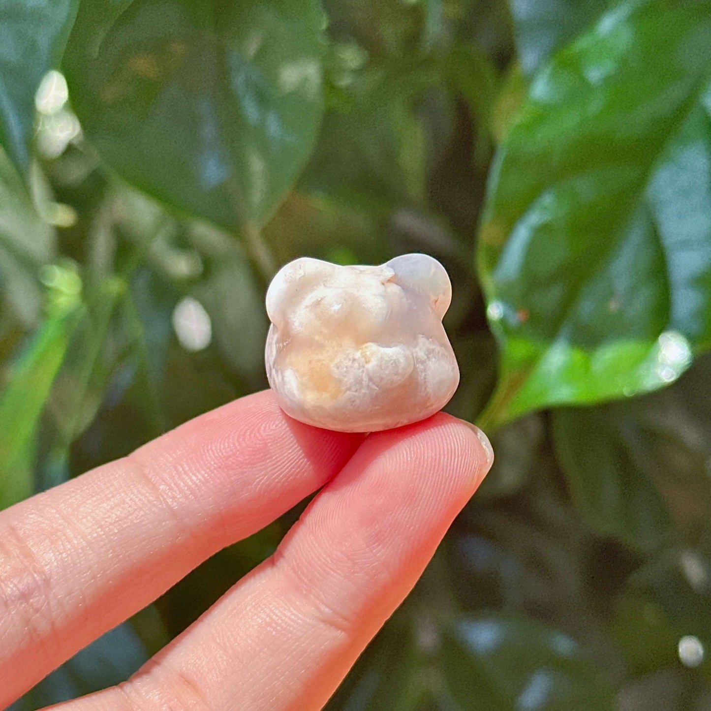 Mini Flower Agate Candy Bear Head Carving