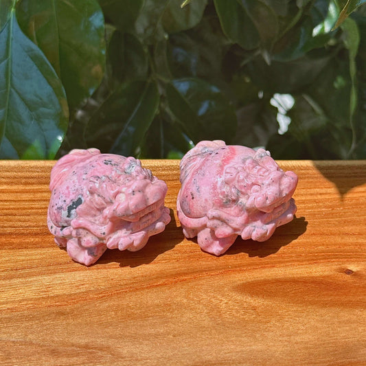 Peruvian Rhodonite Dragon-Turtle Carving