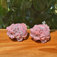 Peruvian Rhodonite Dragon-Turtle Carving