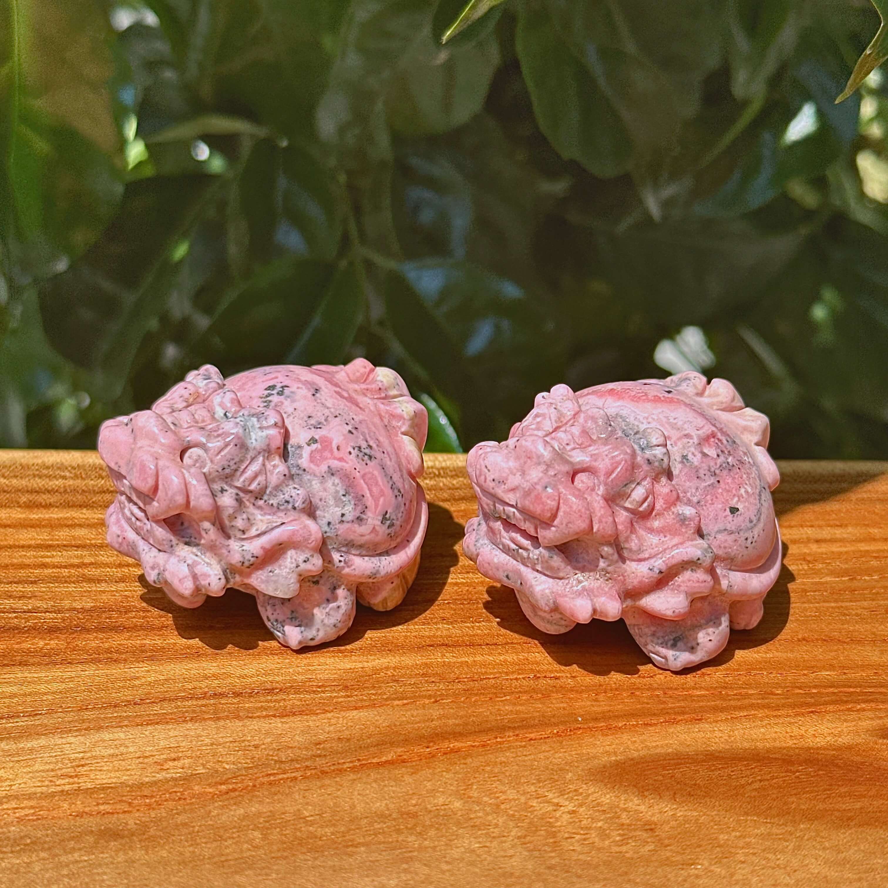 Peruvian Rhodonite Dragon-Turtle Carving