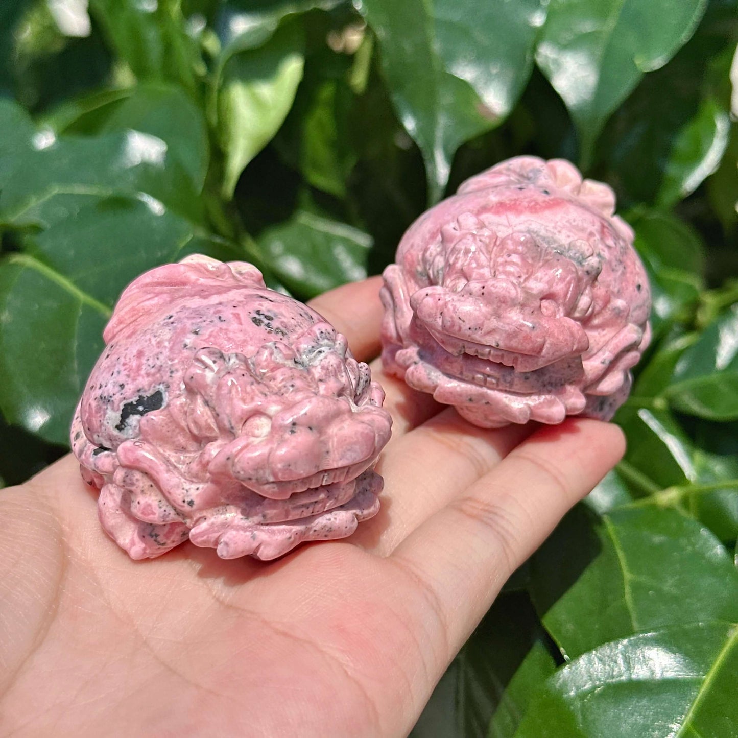 Peruvian Rhodonite Dragon-Turtle Carving